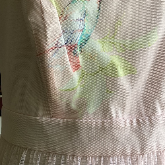 S Diana Vickers Star Amazing Pink Parrot Dress Sheer Top Art 2 Wear - Picture 13 of 16